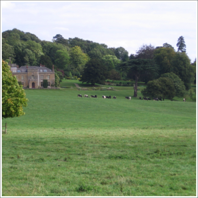 Titsey estate owned by the Uvedale's from 1304 to 1538. Otherwise spelt Tychesey meaning magic spring.